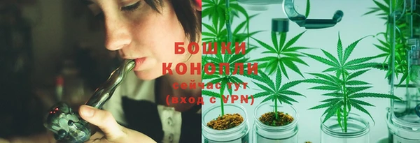 spice Алексин