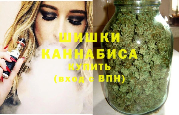 spice Алексин