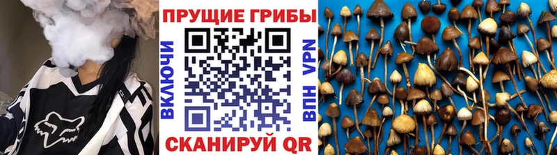 kraken онион  закладки  Пучеж  площадка состав  Галлюциногенные грибы Magic Shrooms 